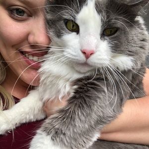 Meet your Posher, Charlotte